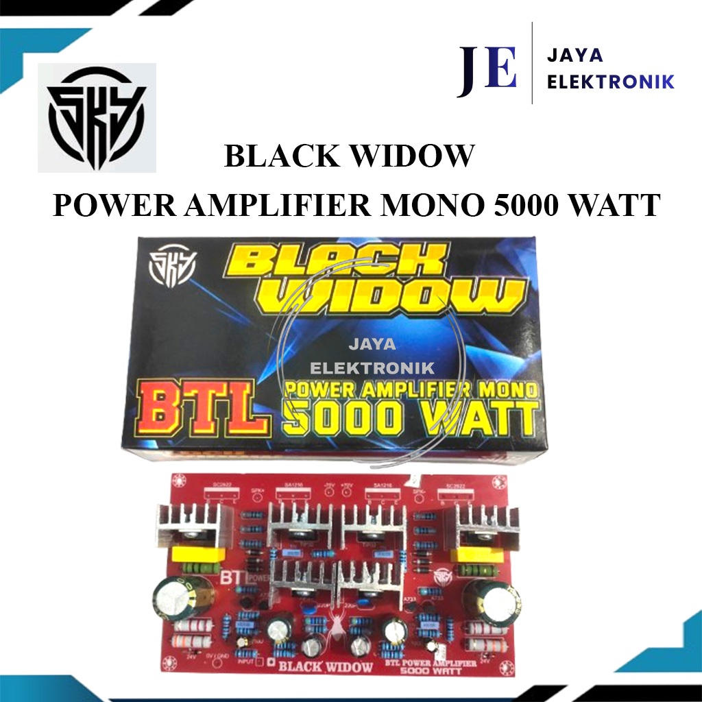 KIT Driver Power amplifier mono 5000 Watt BTL SKY