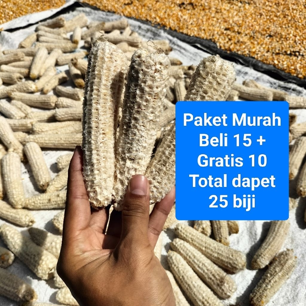 Tongkol Bonggol Janggel Jagung kering bersih paket beli 15 gratis 10