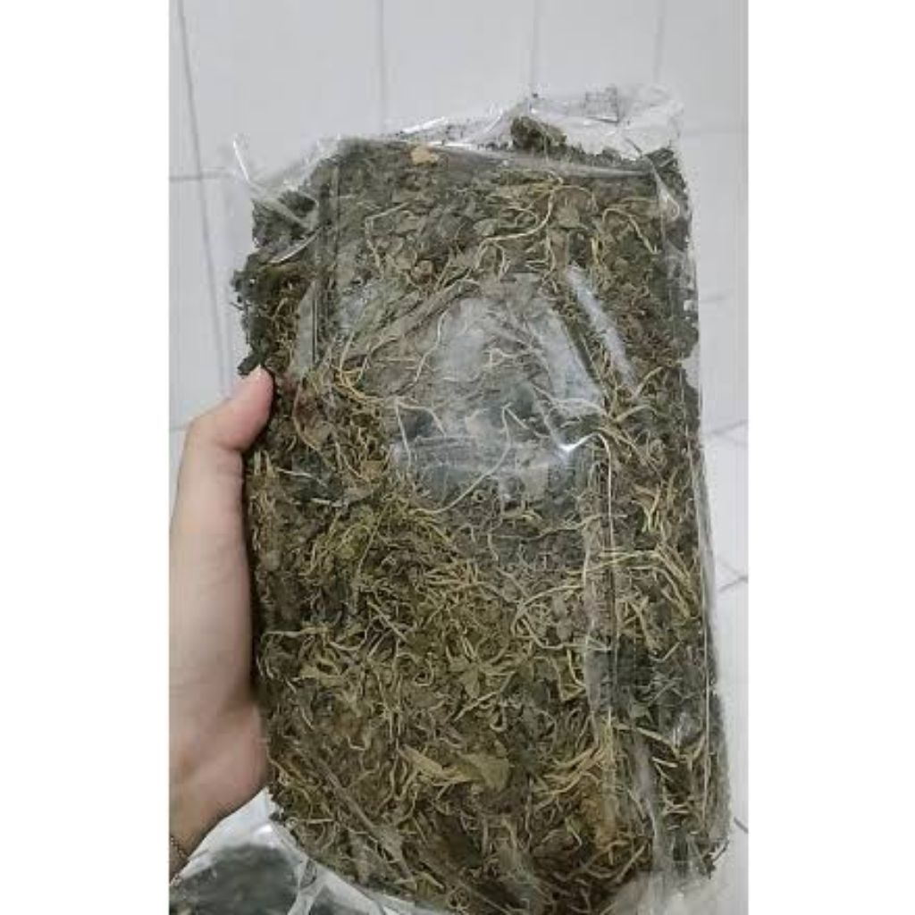 sirih cina kering 100g