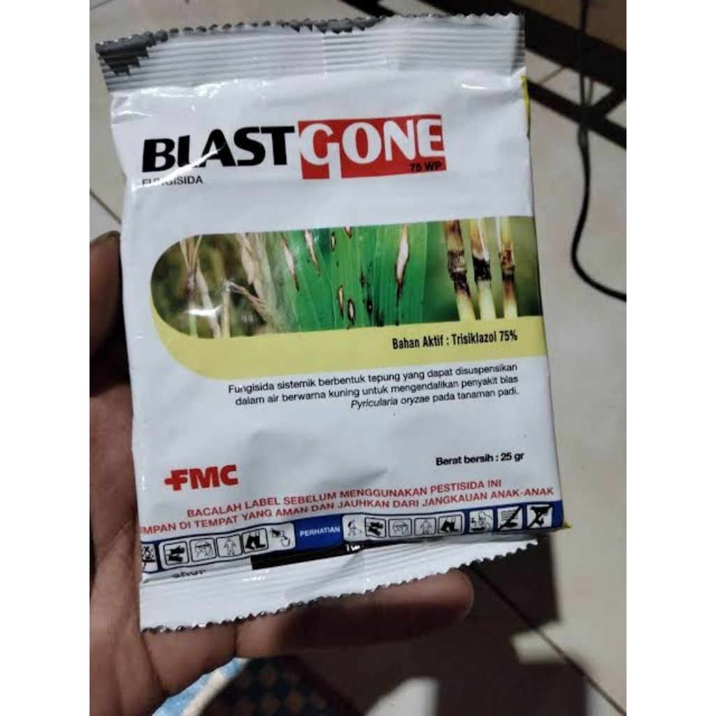Fungisida Blast gone 25 gram