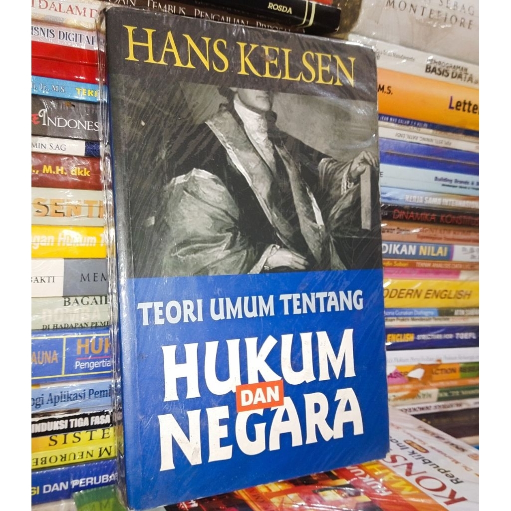 teori umum tentang hukum dan negara