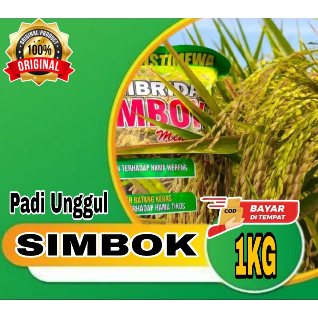 (1KG GENJAH) BENIH PADI SIMBOK UMUR PENDEK ORIGINAL UMUR PENDEK 85-90 HST