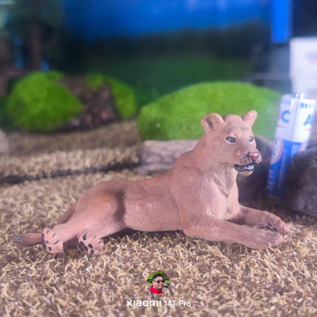 New canna lying lioness singa figure