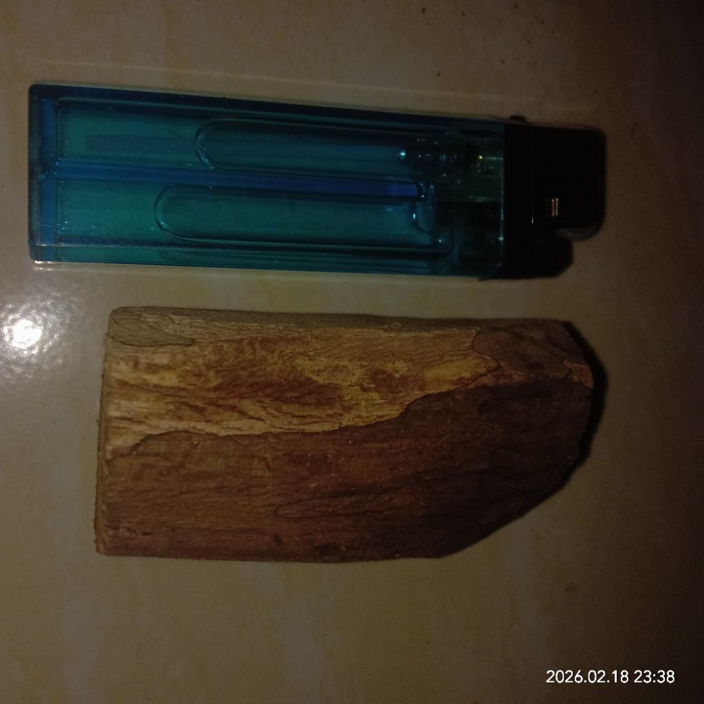 kayu bertuah sempu mati alam