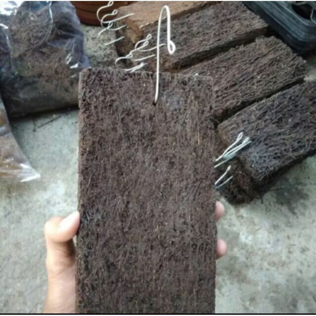 media paoan pakis lempeng ukuran 25x10 besar audah sama cantelan