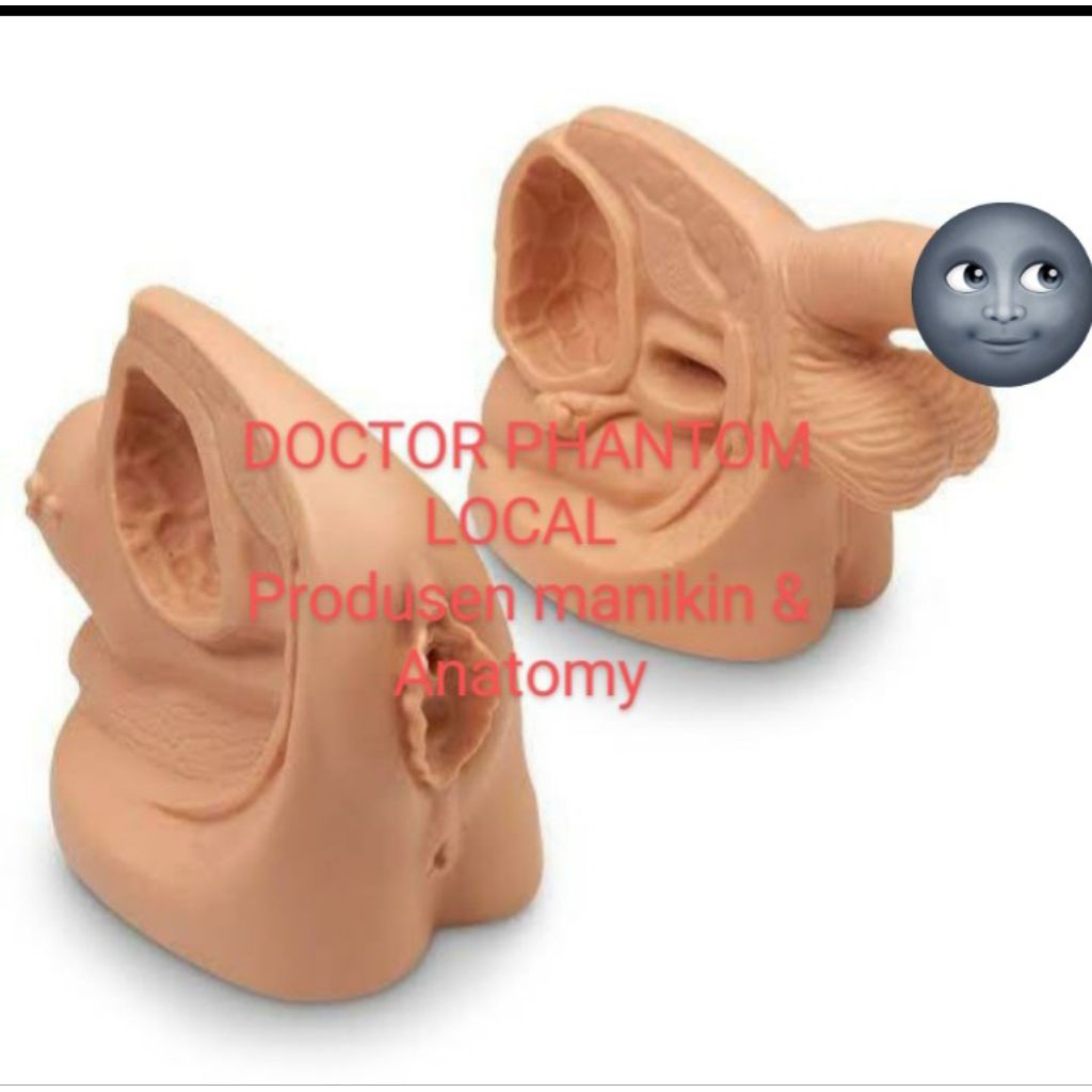 Manekin Pemasangan Kateter Pria - Alat Peraga Pendididikan - Media Praktek Simulator Kateter Urin