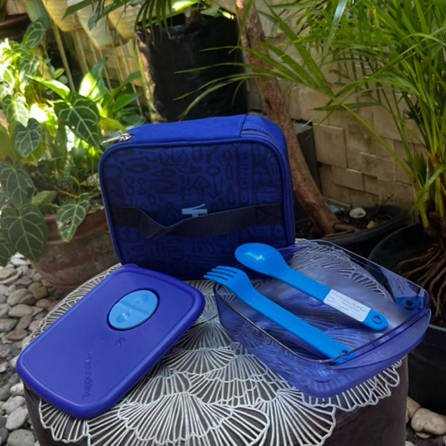 Extream meal box TUPPERWARE