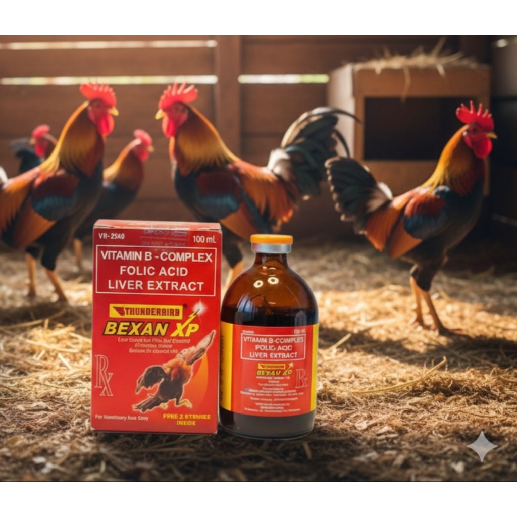 BEXAN XP 100 ML VITAMIN AYAM
