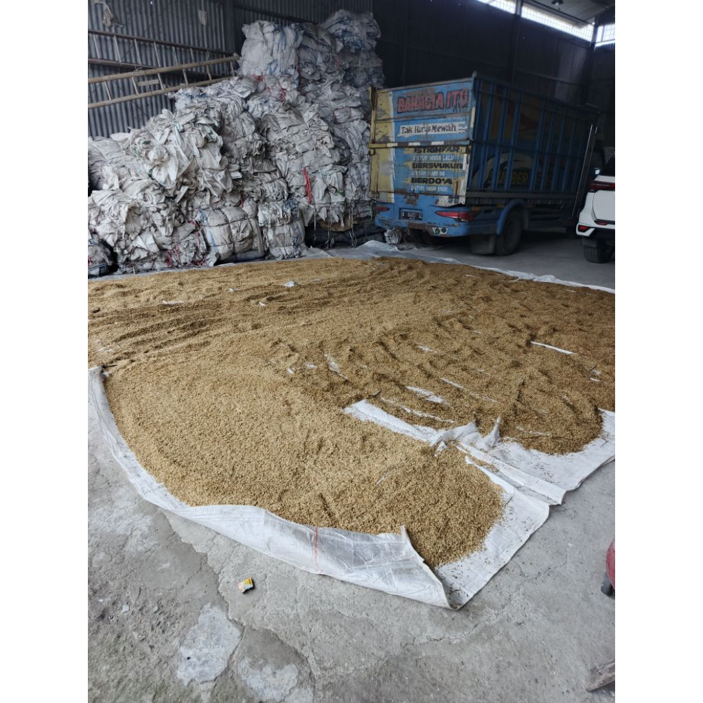 TERPAL LOT UKURAN 6X3 meter untuk amparan padi