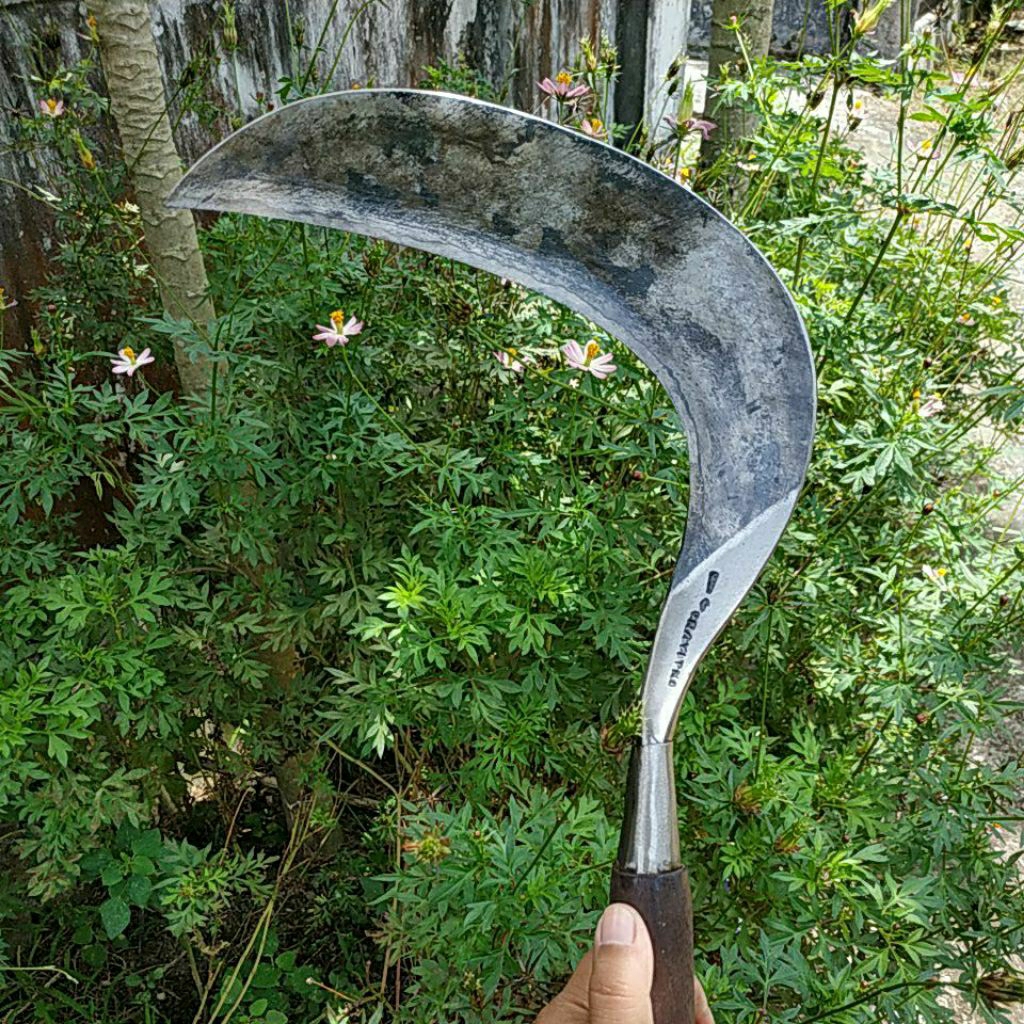 SABIT RUMPUT PRAYITNO SUPERAN BAJA ISEN FULL