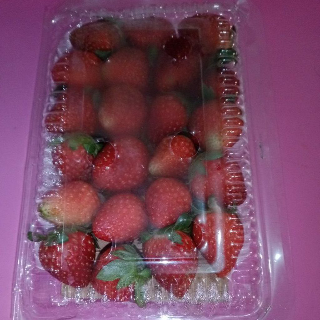 BUAH STROBERI / STRAWBERRY manis petik segar