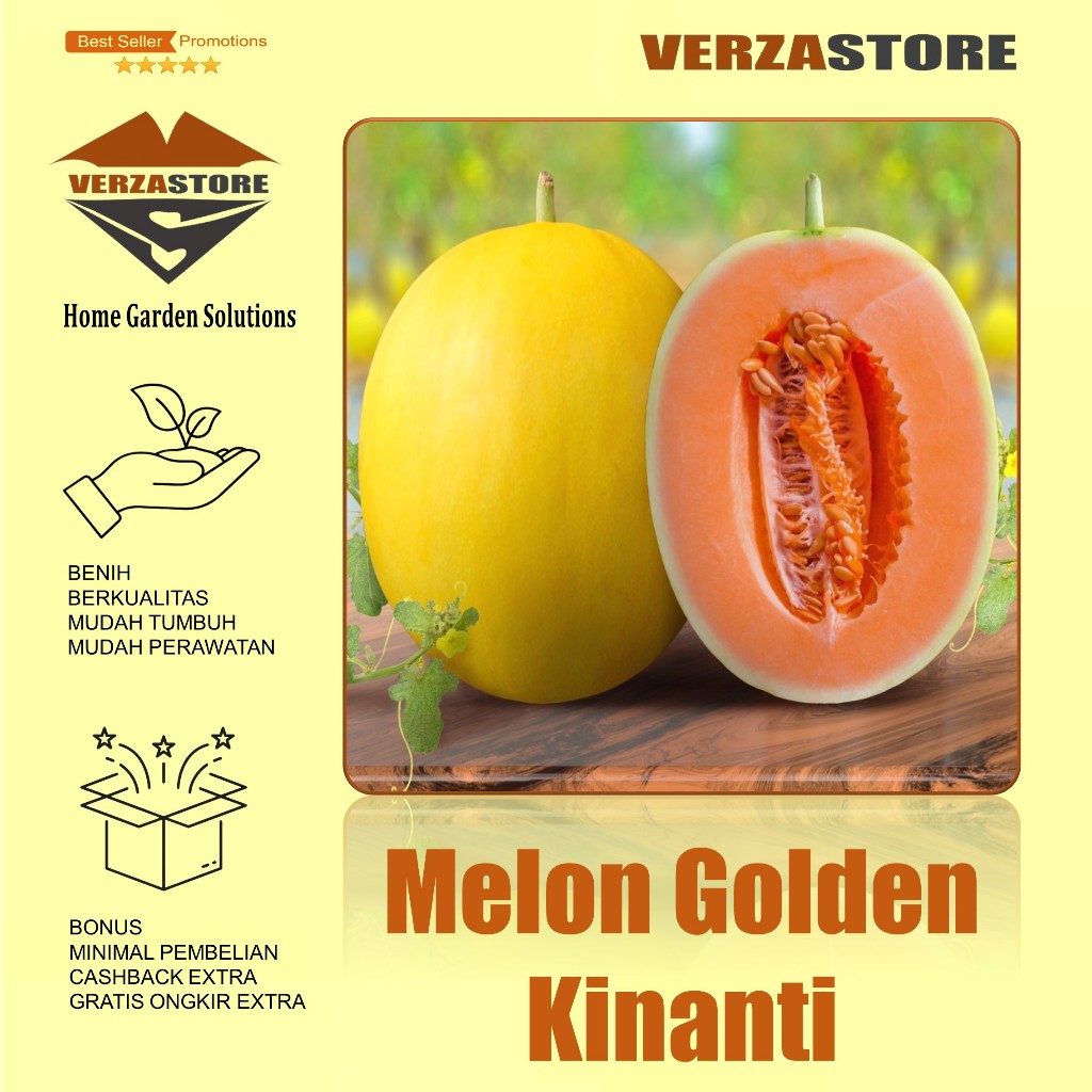 biji benih buah melon golden orange kinanti original /5 biji