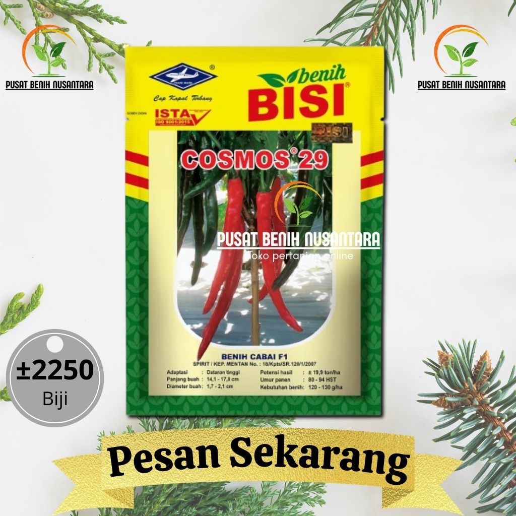 Benih cabai merah besar F1 COSMOS 29 isi±2250 biji dari bisi tahan virus & hasil panen tinggi