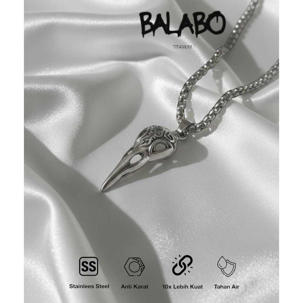 BALABO Kalung Titanium Raven Skull Pria – Liontin Tengkorak Burung Gothic Viking Anti Karat