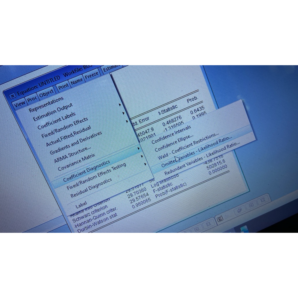 JASA OLAH DATA EVIEWS