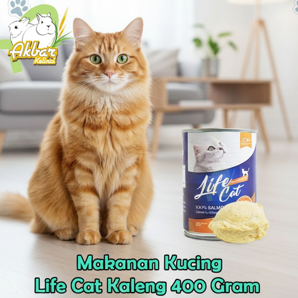 Life Cat Kaleng 400 gr Kitten Salmon- LifeCat Can 400gr