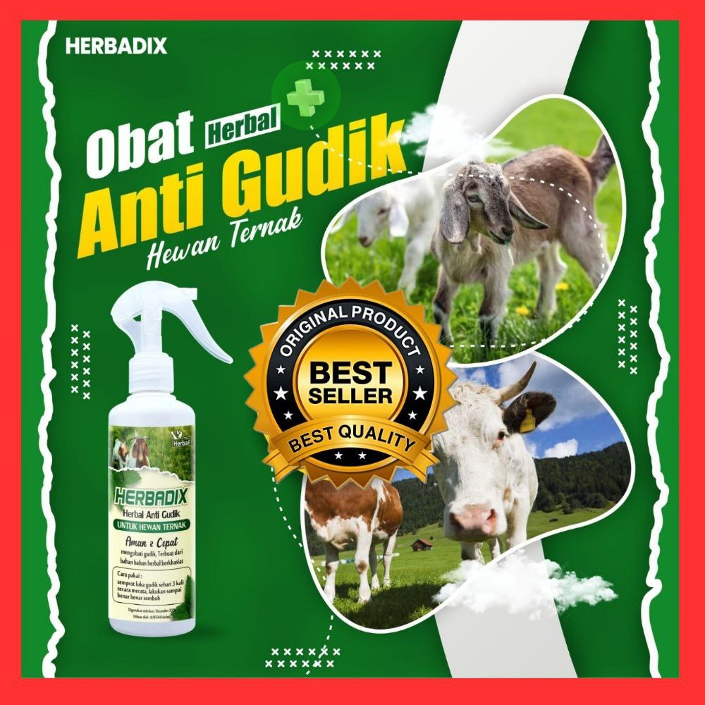 Herbadix Obat Gudik Kudis Ternak Herbal Ampuh