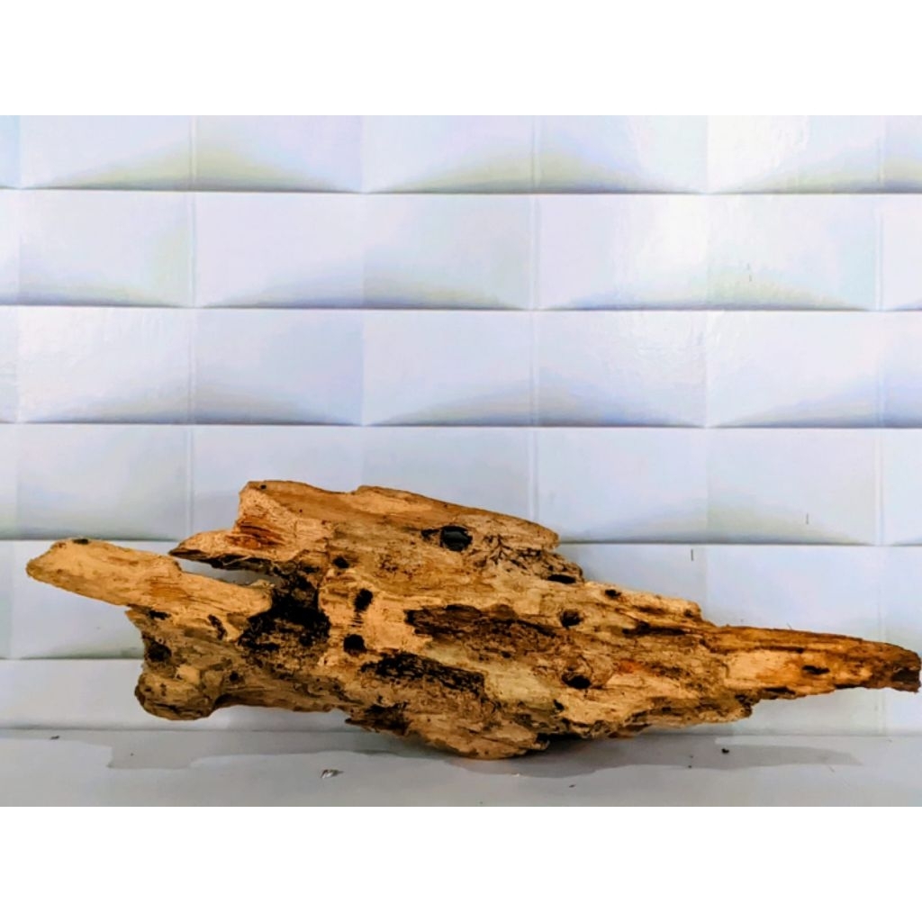 kayu rentek aquascape sudah tenggelam