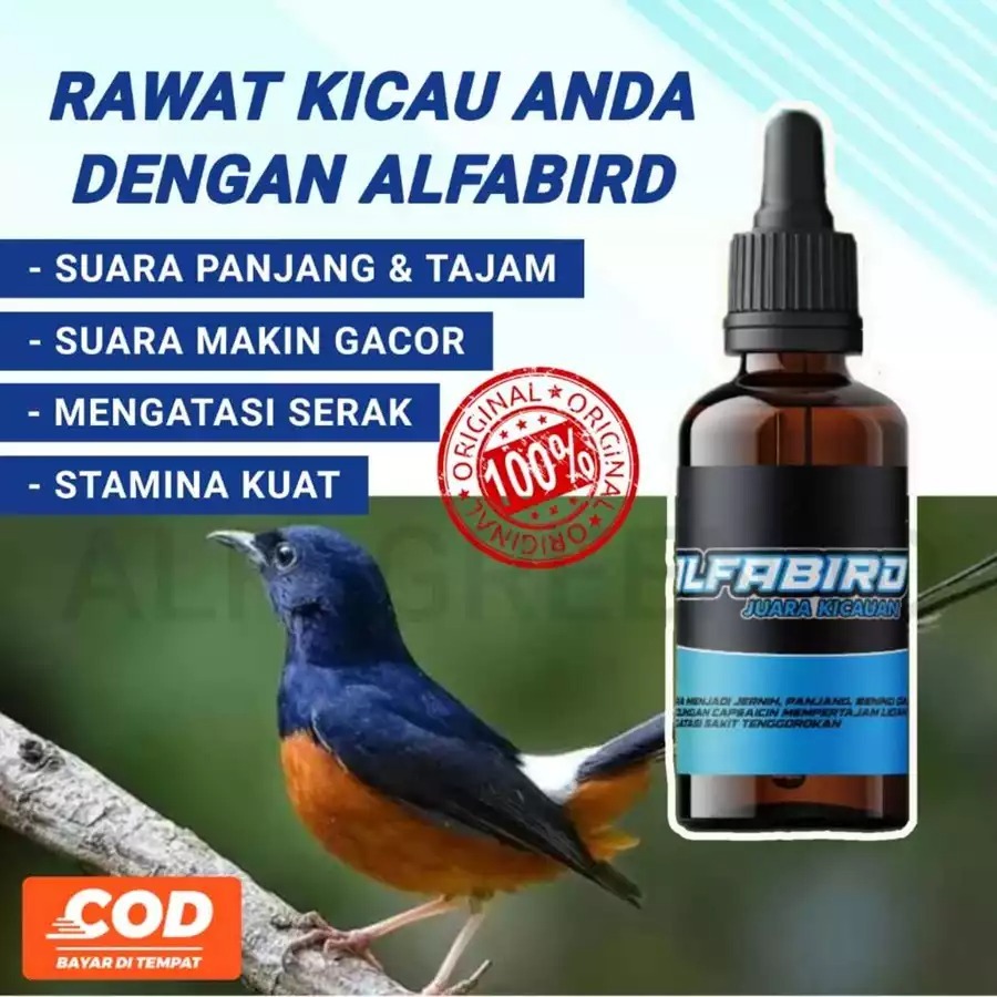 Vitamin Penggacor Power Booster Kicau Burung Meningkatakan Stamina Seketika