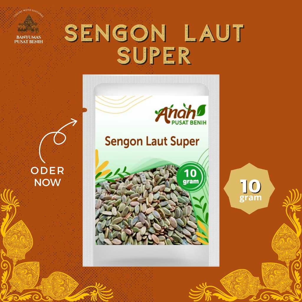 Benih sengon laut super 10 gram / bibit  pohon sengon laut / banyumas pusat benih