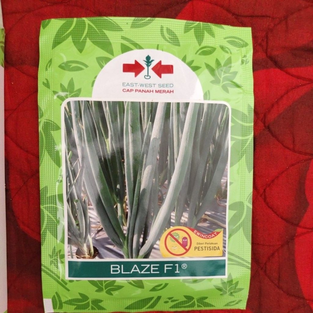 bibit kucai atau daun bawang blaze f1