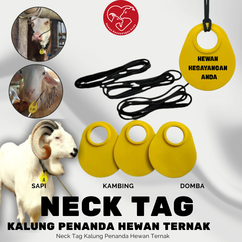 Neck Tag Kalung Ternak Kambing Domba Sapi Kuda Kerbau Babi