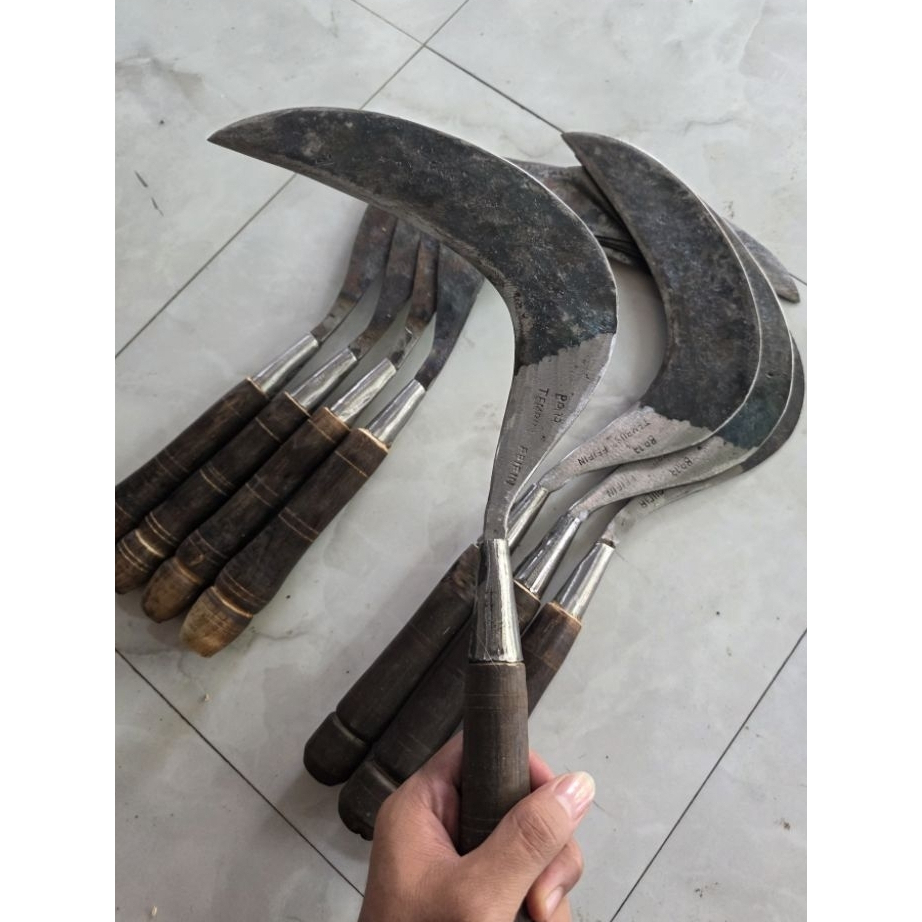 Sabit Pengaritan Rumput Baja Isen Sepuhan Tua Super Tajam