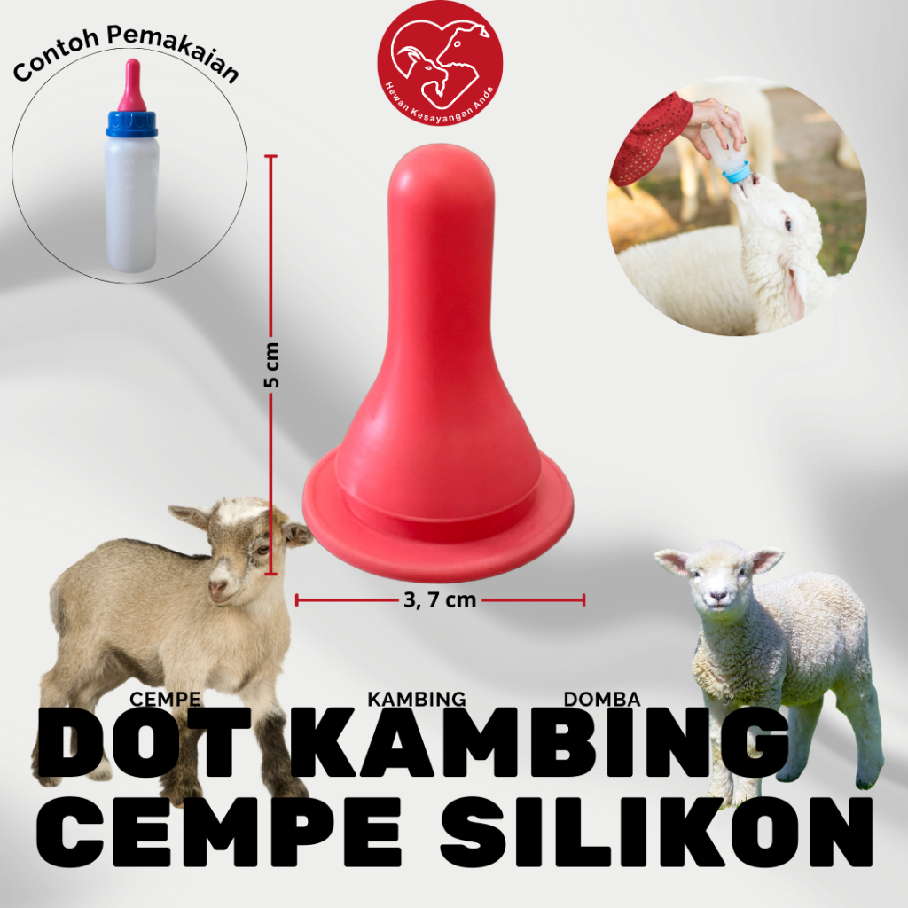 Dot Kambing Dot Cempe Silkon Merah Dot Anak Kambing dll
