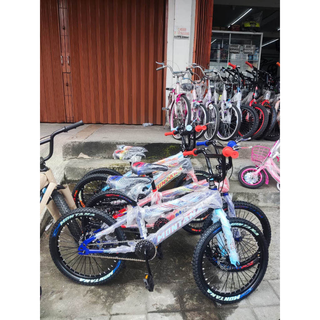 Sepeda BMX 20 Inch Montana Rawr 2.40 DB Cakram