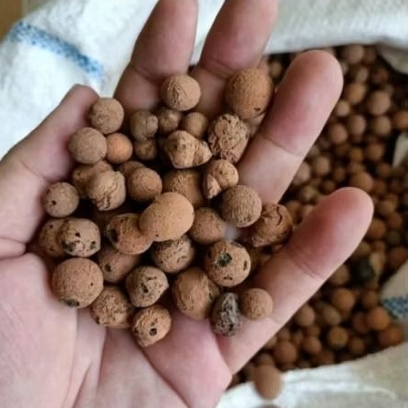 media tanam hidroton Jerman, hidroton 1liter, hidroponik