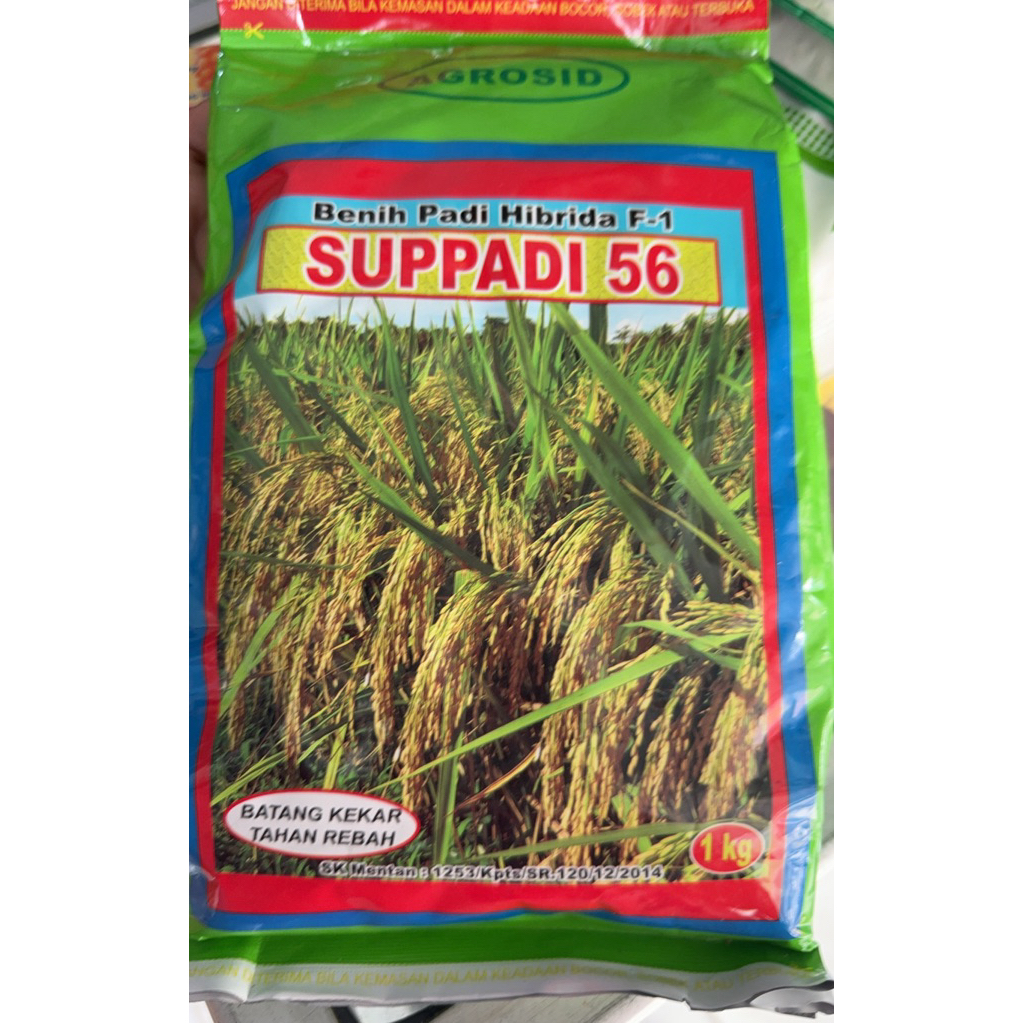 SUPPADI 56 exp 30-06-26