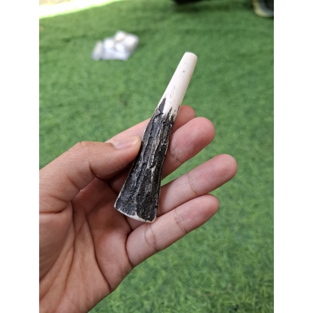 once pipa cangklong model tanduk rusa