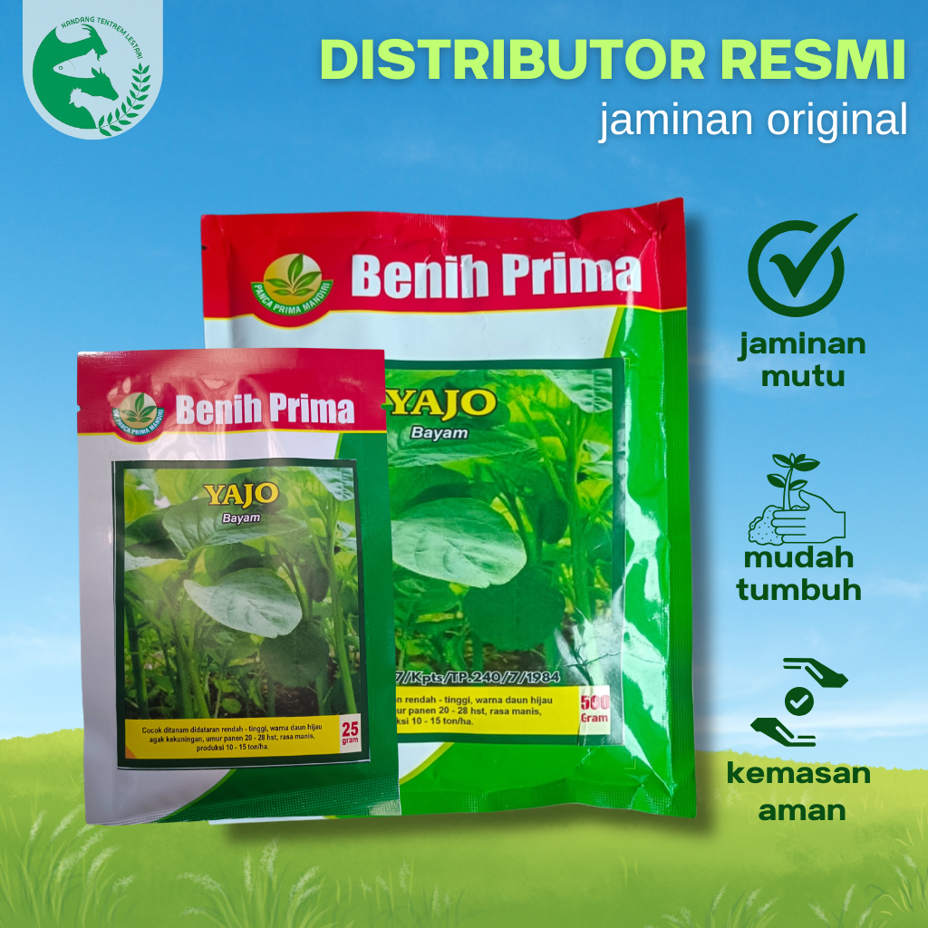 Benih Bayam Mangkok Hijau 500 gram YAJO cap Benih Prima Unggul Lebat Bisa Cabut & Potong