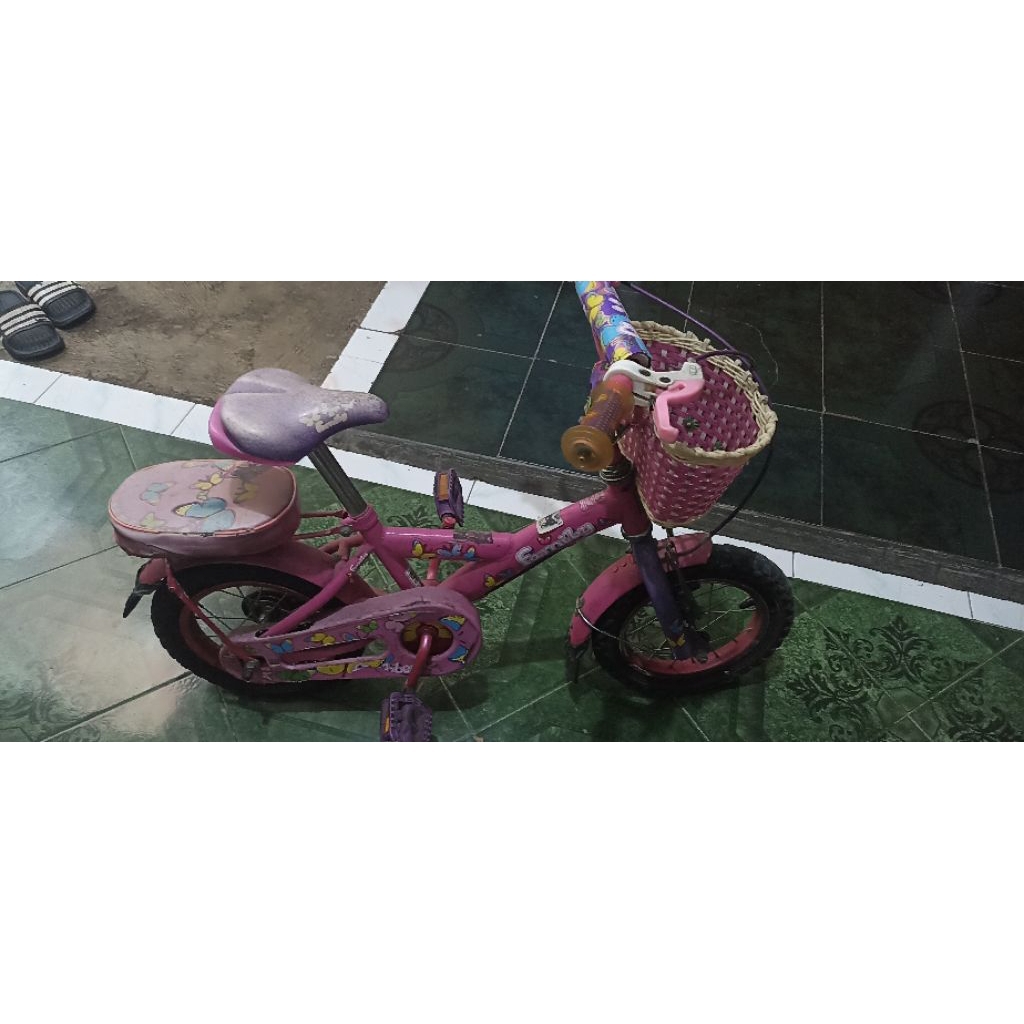 Sepeda Anak Family Flubber