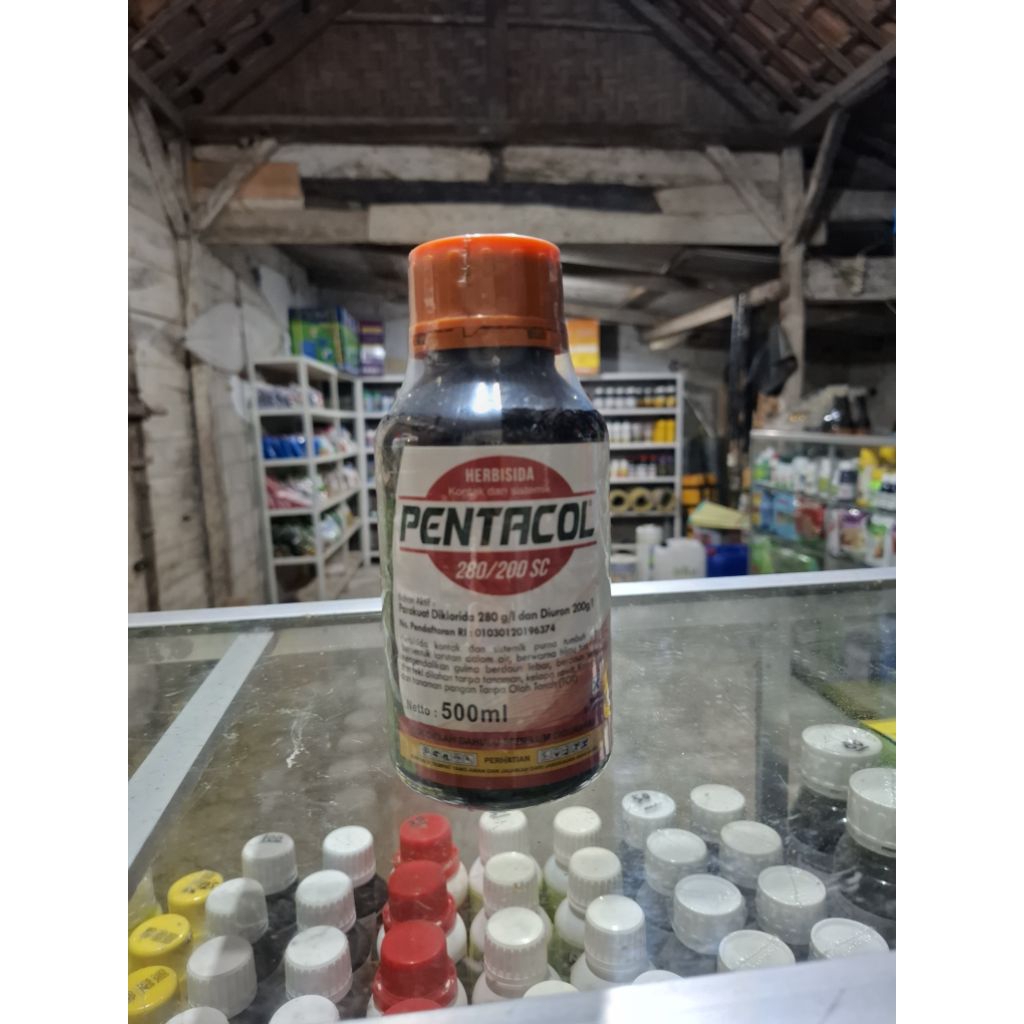Herbisida Pentacol 280/200. Kontak dan Sistemik