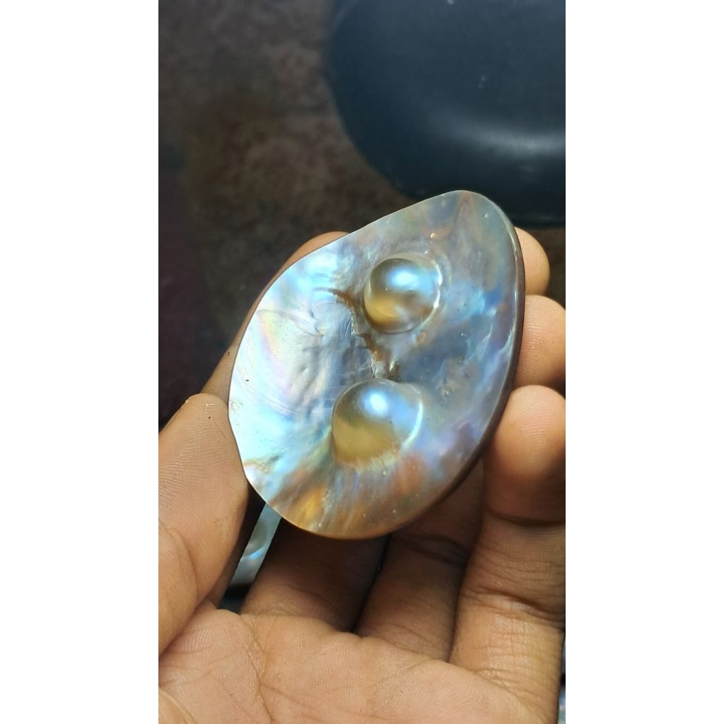 mutiara kerang laut