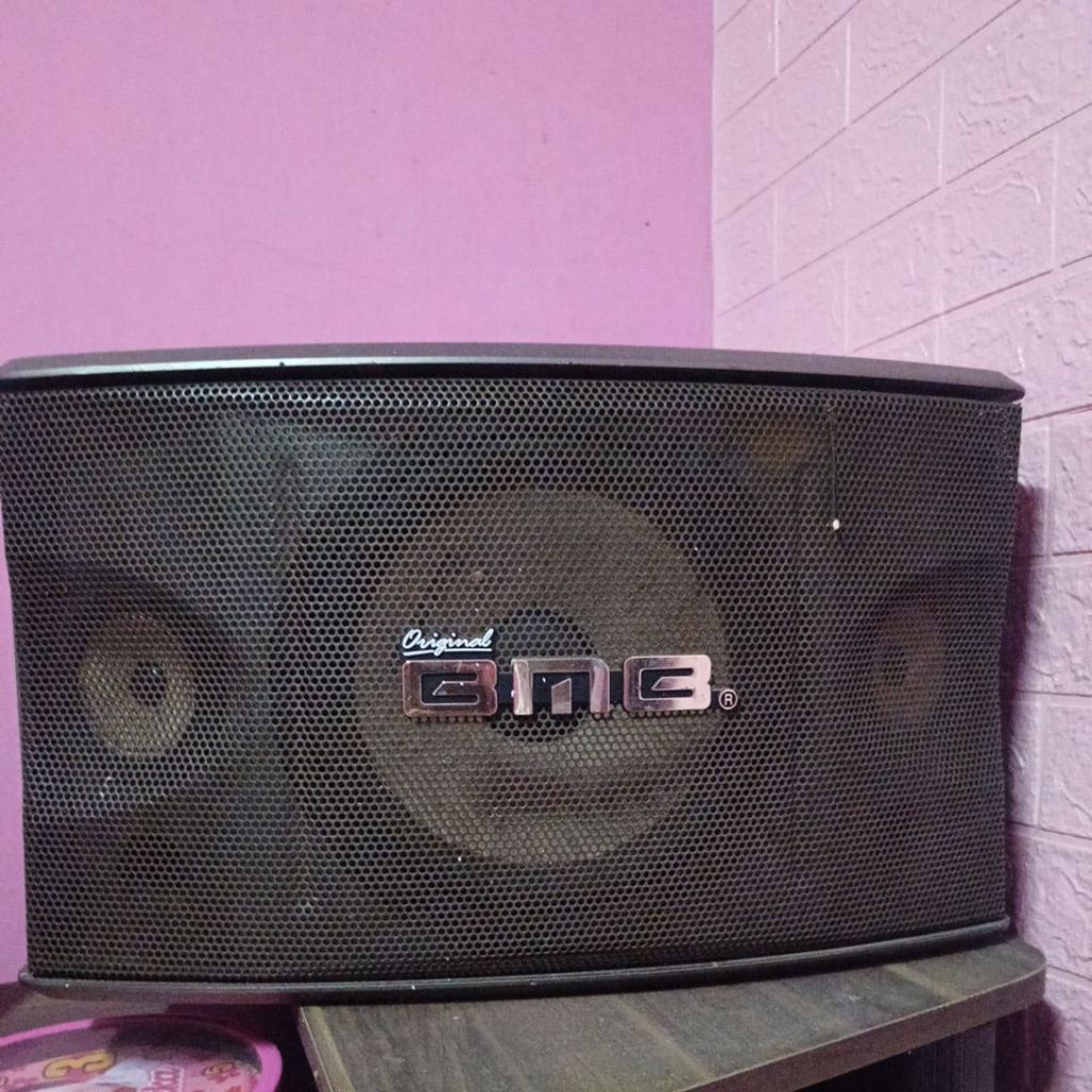 speaker BMB 10 inci