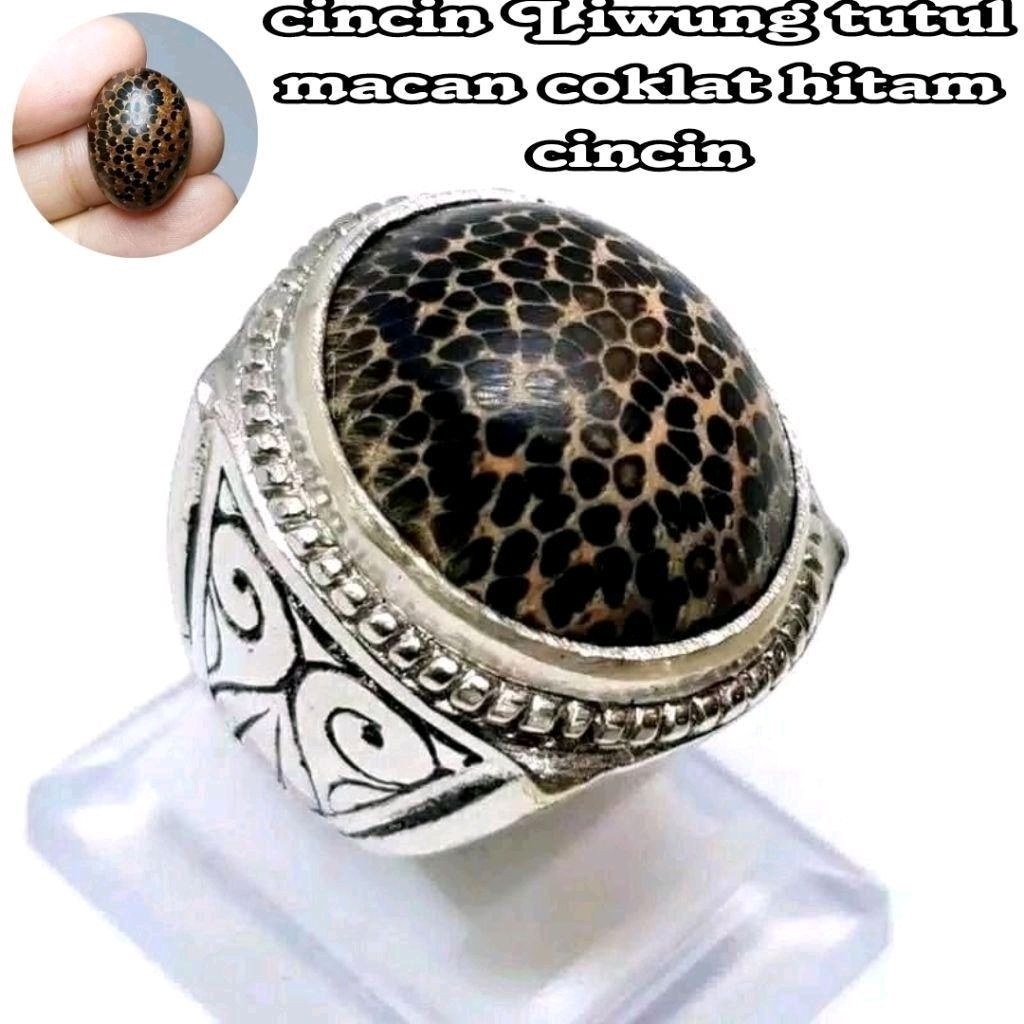cincinn kayu liwung tutul macan coklat