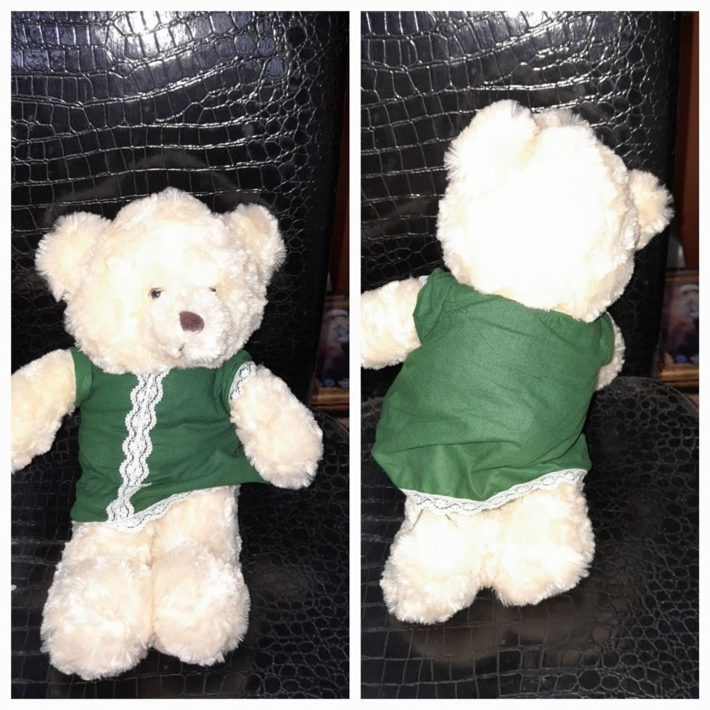 Boneka beruang baju hijau