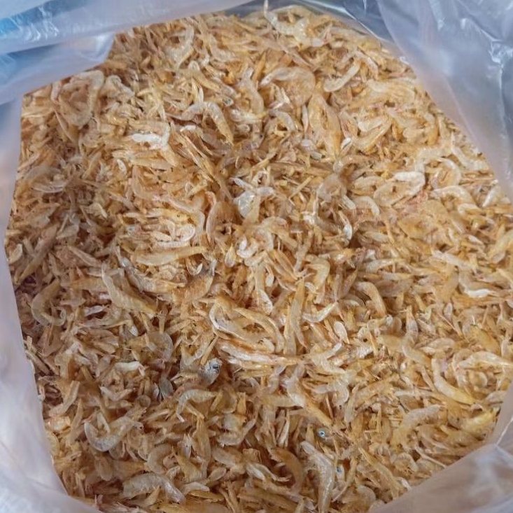 udang rebon kering/udang kering rebon