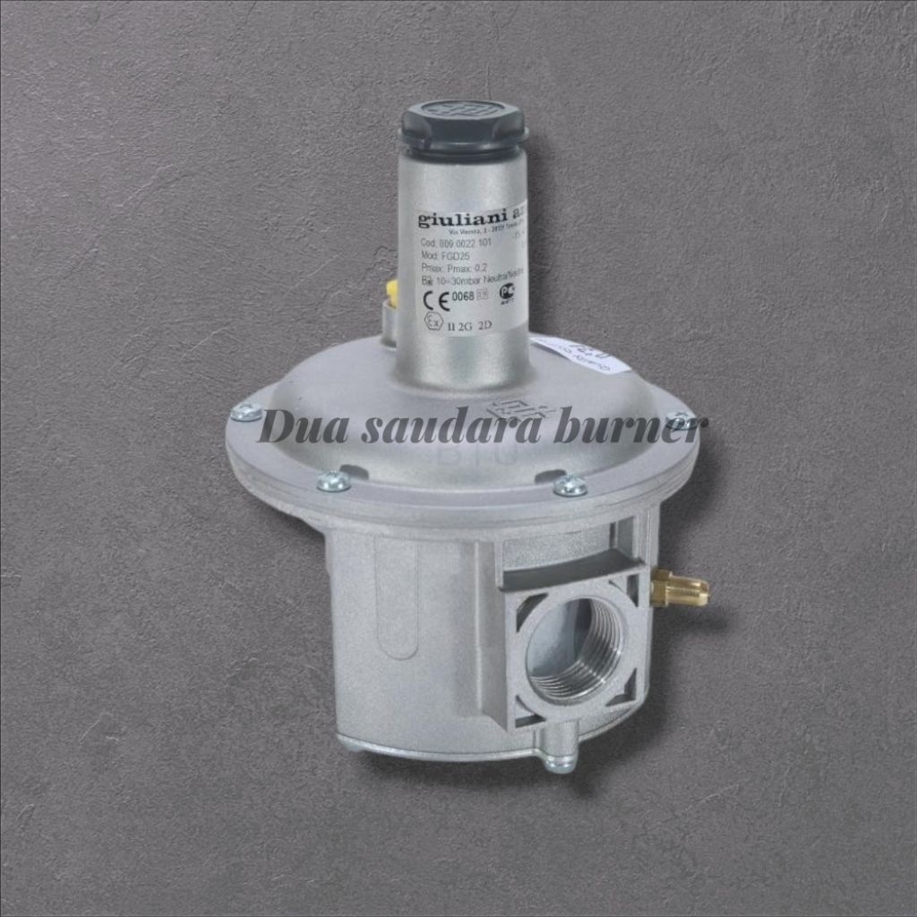 Gas Regulator FGD25 GIULIANI ANELLO