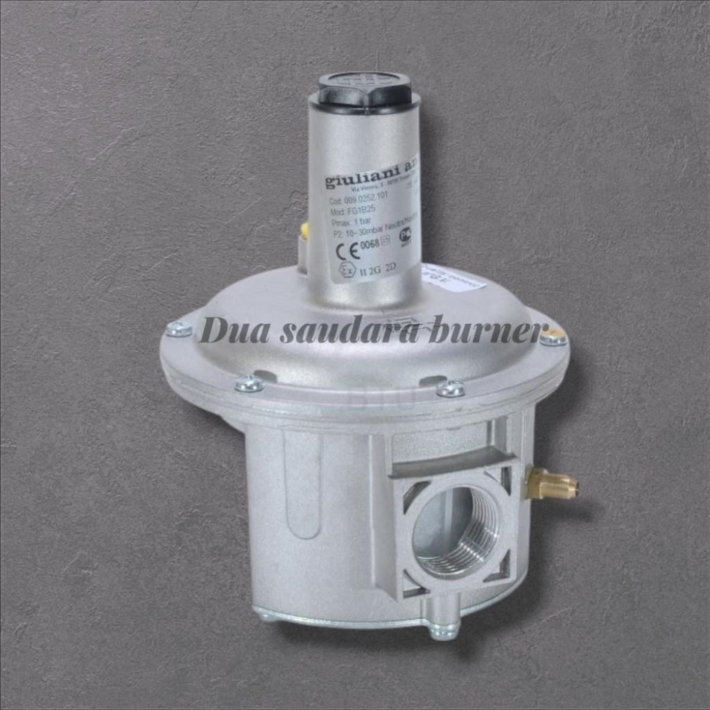 Gas Regulator FG1B25 GIULIANI ANELLO