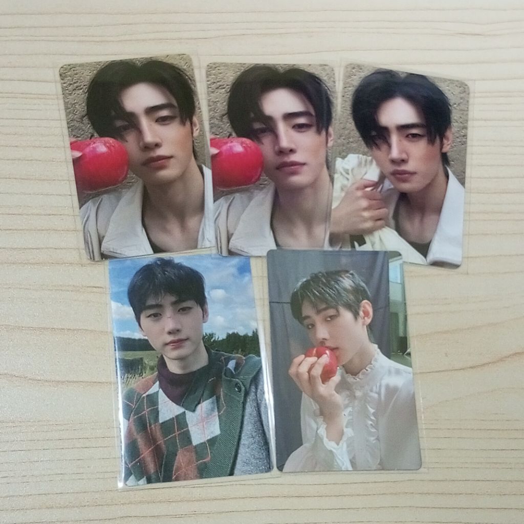 (ready) official pc sunghoon jungwon mecima bdo bene pob jw enhypen dawn dusk jaga lilin vampir phot
