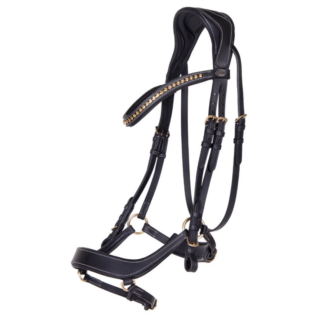 QHP Bridle Devi