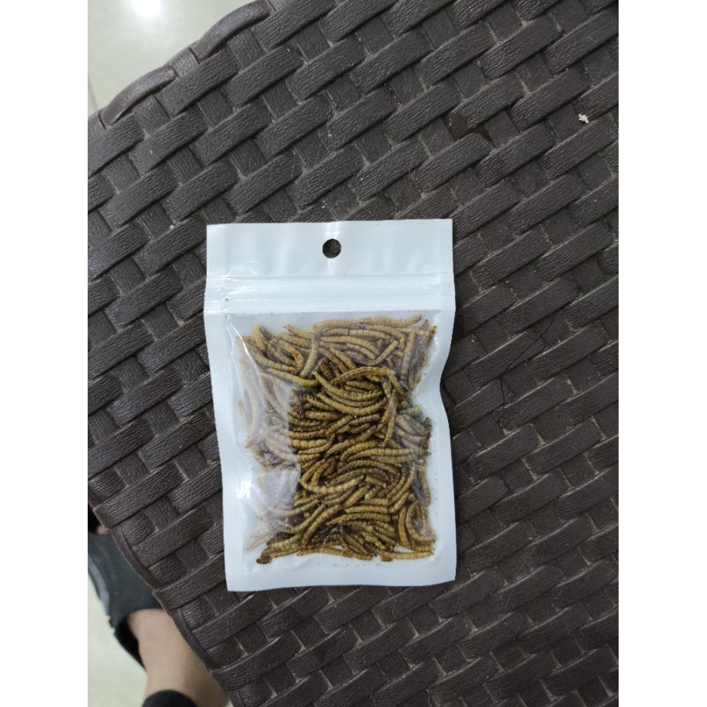 ulat hongkong kering (cemilan hamster)