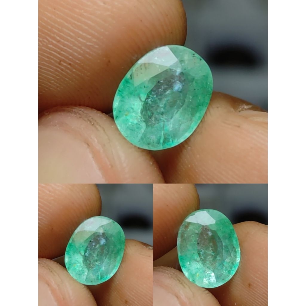 zamrud columbia minor