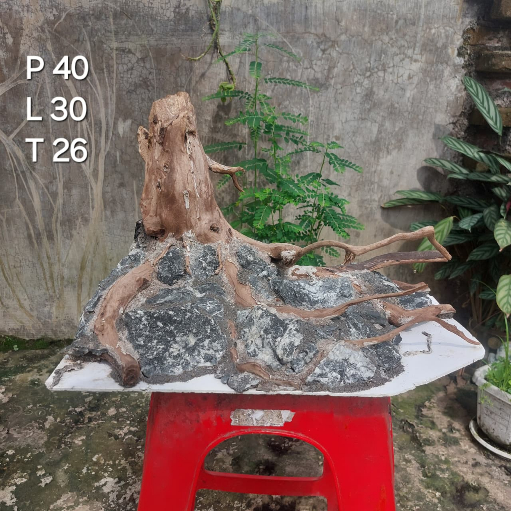 Hardscape Aquascape 40 Cm