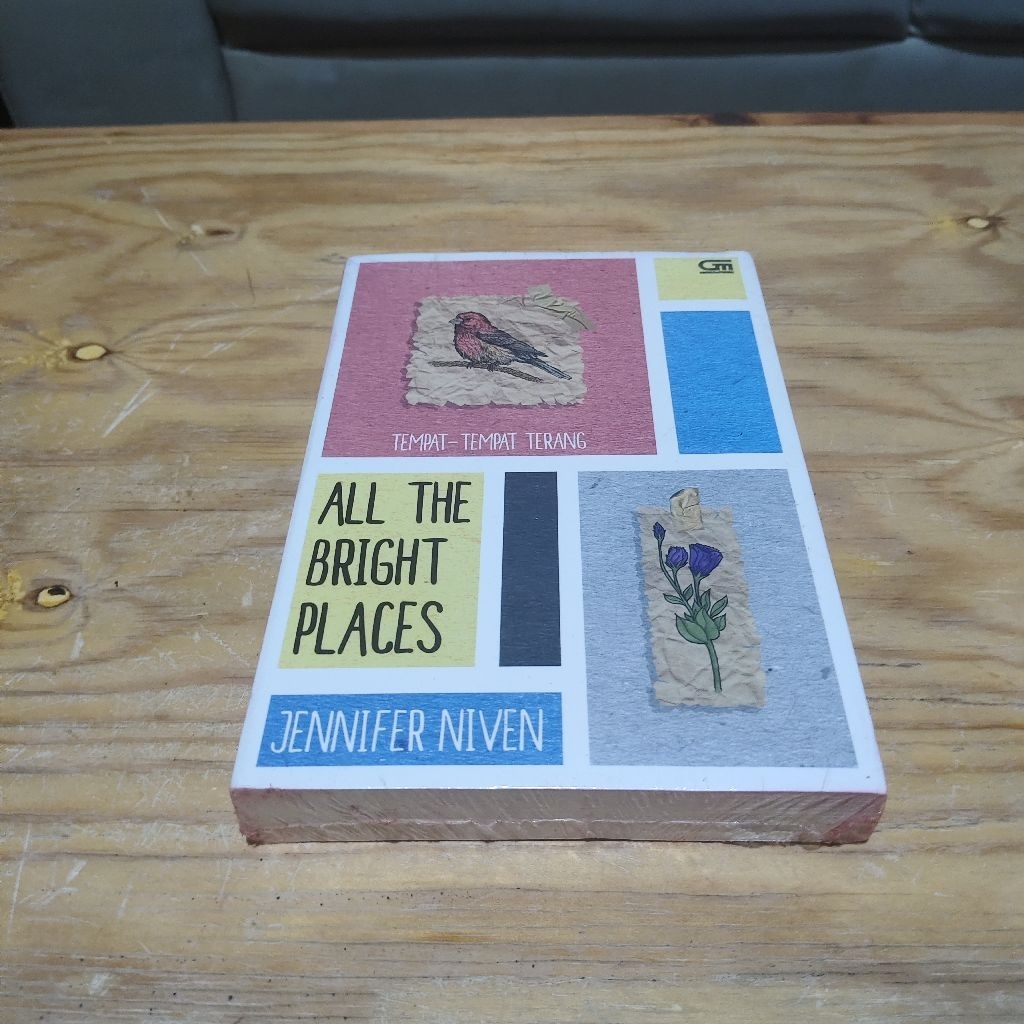 Novel All The Bright Places