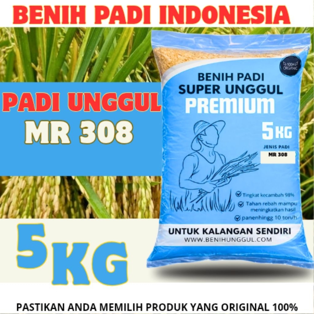 benih Padi  Mr 308 Tahan Roboh 5kg