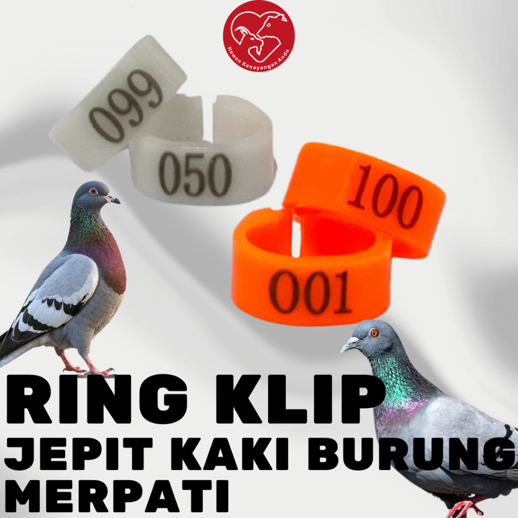 Ring Burung Merpati Ring Jepit Gelang Kaki Burung Merpati Dara